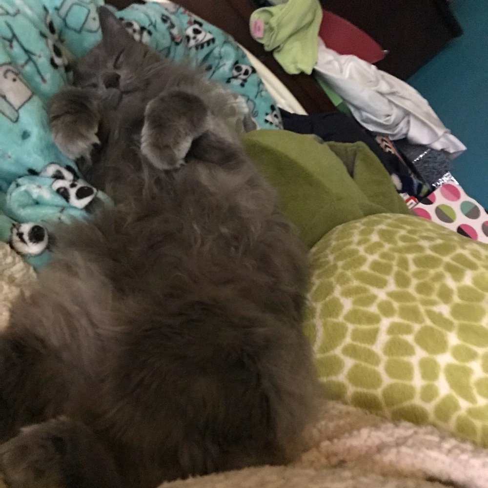 Meet your Posher, Zoe